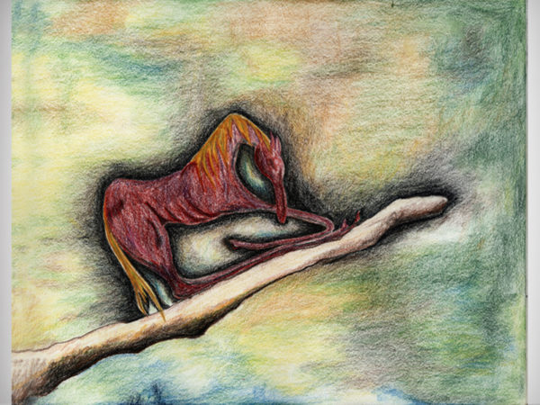 <span>Bird horse</span><i>→</i>