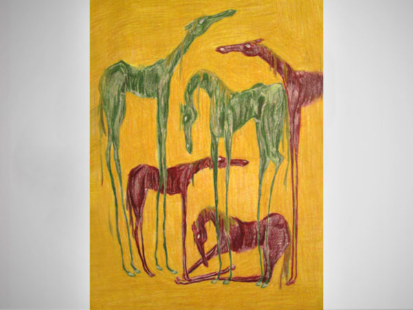 <span>Horses</span><i>→</i>