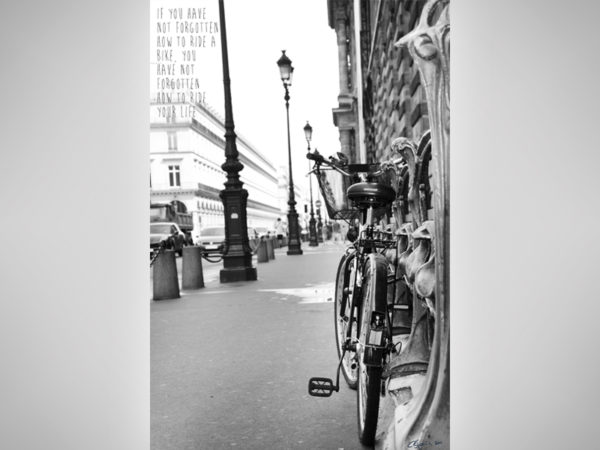 <span>Life ride</span><i>→</i>