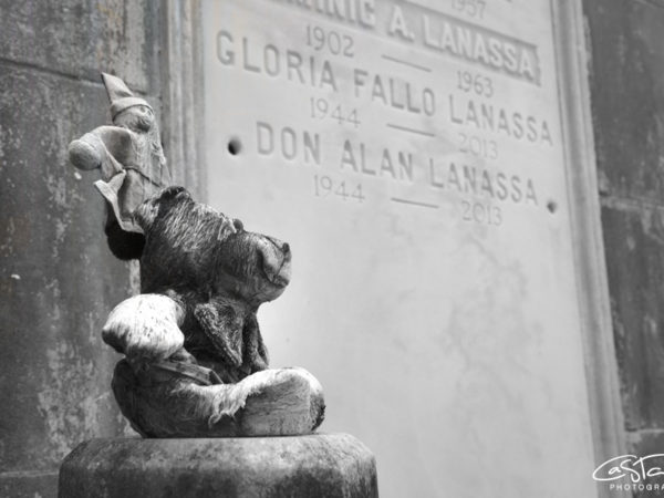 <span>Beauty isn’t what it looks like</span><i>→</i>